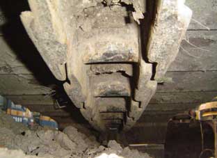 ca19116815